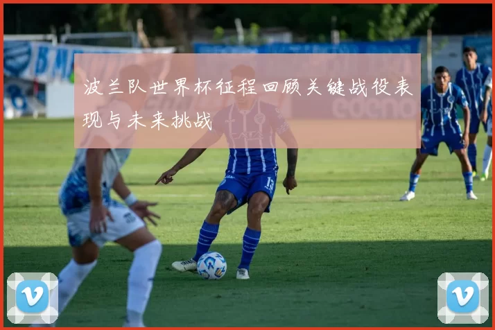 波兰队世界杯征程回顾关键战役表现与未来挑战