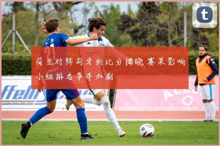 荷兰对阵匈牙利比分揭晓 赛果影响小组排名争夺加剧