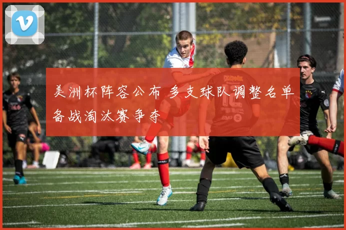 美洲杯阵容公布 多支球队调整名单备战淘汰赛争夺