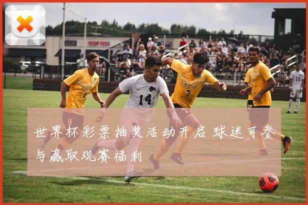 世界杯彩票抽奖活动开启 球迷可参与赢取观赛福利
