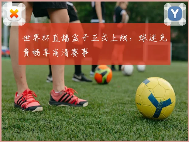 世界杯直播盒子正式上线,球迷免费畅享高清赛事