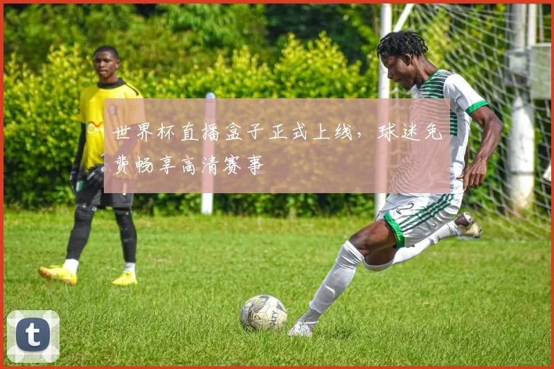 世界杯直播盒子正式上线,球迷免费畅享高清赛事
