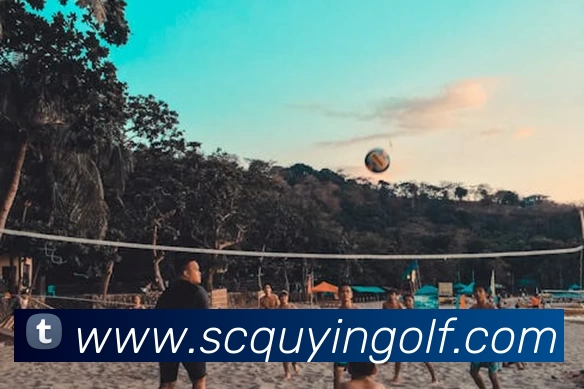 mksports - mk(中国)一站式服务体育官方网站平台生态图